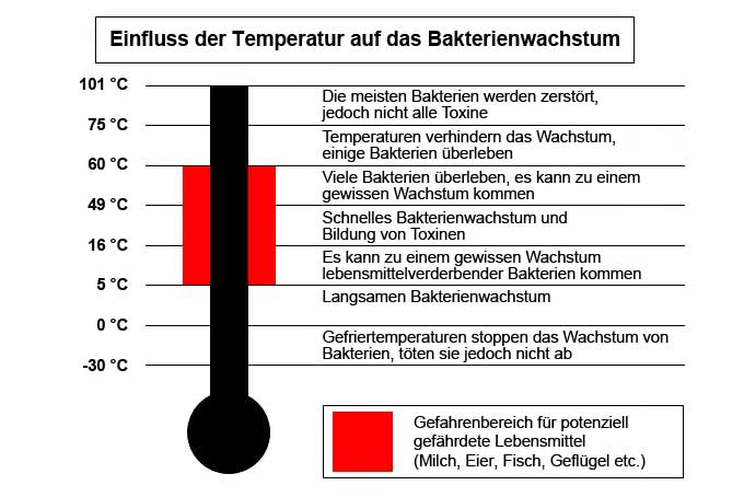 Einfluss der Temperatur auf das Bakterienwachstum