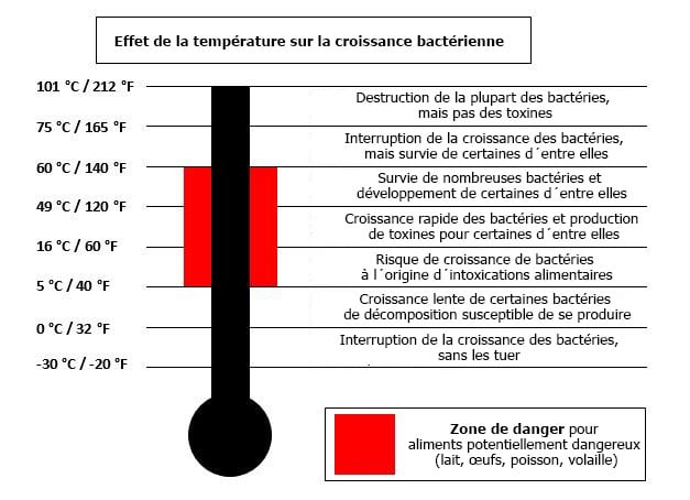 Effet de la température sur la croissance des bactéries