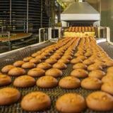 Food Processing Food Processing