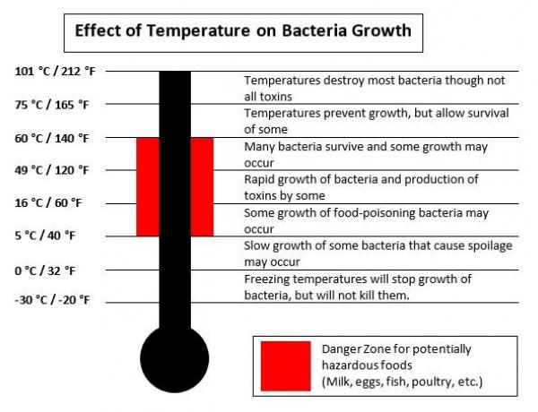 Effect of Temperature on Bacteria Growth Effect of Temperature on Bacteria Growth
