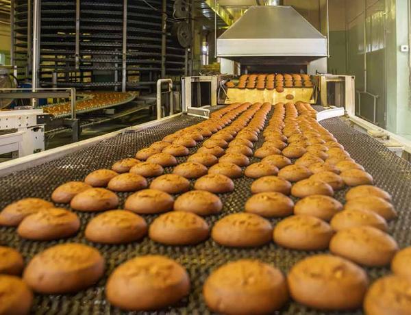 Food Processing Food Processing